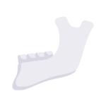 jaw bone
